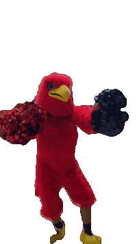 Aosr Falcons Sticker by AOSR