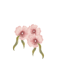 nadineroza art girl flower woman Sticker