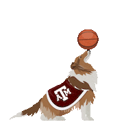 College Basketball Mascot Sticker by Wells Fargo