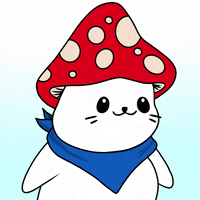 Fun Blinking GIF by Sappy Seals Community