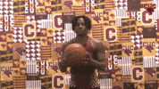 Cuc GIF by CUCougars
