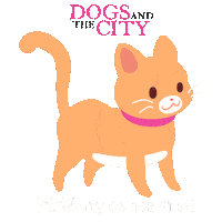 dogsandthecityph cat dog cats dogs Sticker