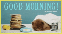 Good_Morning_3.mp4