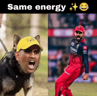 Ms Dhoni GIF