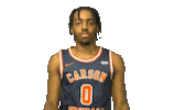 C-N Dance Sticker by Carson-Newman Athletics