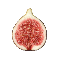 Box Salentino Sticker by il pacco dalla Puglia