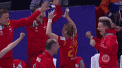 celebration win GIF by EHF