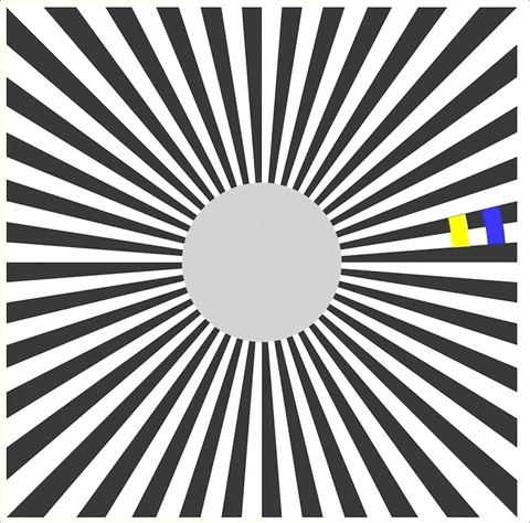 pomeranian99 giphyupload optical-illusions GIF