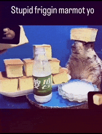 Marmot Chae GIF