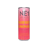 Sticker by NE1 Spirits