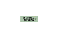 blessedisshe__ text flower growing bis Sticker