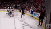 Happy Carolina Hurricanes GIF by NHL