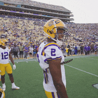College Football Dancing GIF by LSU Tigers