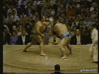 sumo GIF