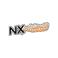 nxpadel nxpadel padel court nxperience Sticker