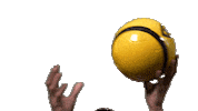 Basketball Ball Sticker by VVV-Venlo