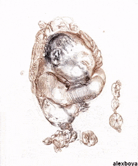 Art Animation GIF by Alex Boya