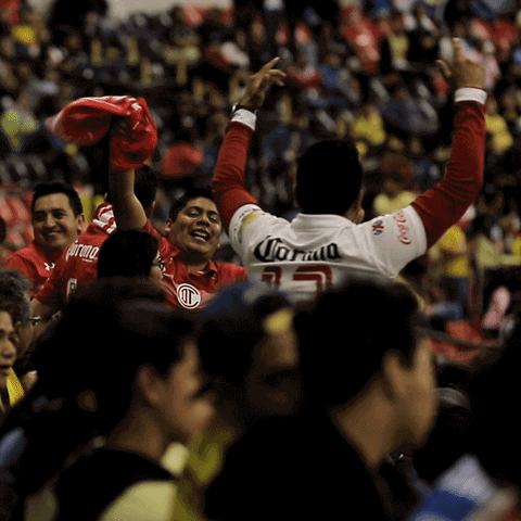 Soccer Futbol GIF by La Suerte No Juega