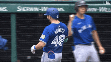 Celebrate Home Run GIF by Toronto Blue Jays