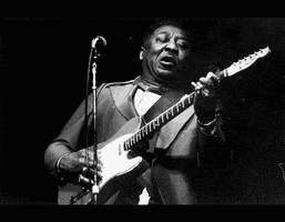 muddywaters led zeppelin rolling stone eric clapton muddy waters GIF