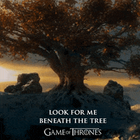 hbo tree GIF by Game of Thrones