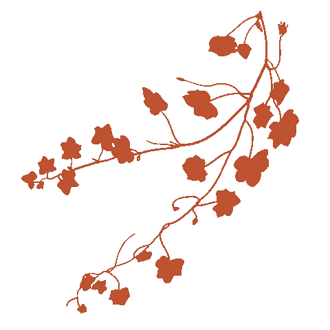 Flower Boho Sticker