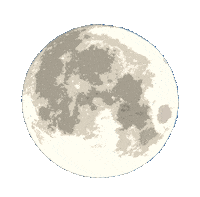 Space World Sticker
