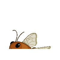 marlynnarts orange bee brown bug Sticker