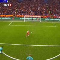 Galatasaray Gs GIF by TRT