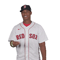 Red Sox Baseball Sticker by Boston Red Sox