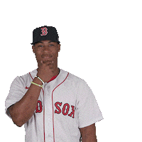 Red Sox Baseball Sticker by Boston Red Sox