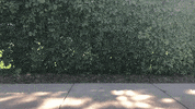 Heartland_Bcycle ebikes heartland b-cycle GIF