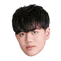 Fw Flashwolves Sticker