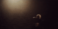 Happy Ferris Wheel GIF by Sylvan Esso