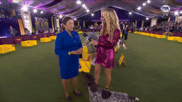 Sporting Group Winner Jade (German Shorthaired)