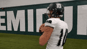 Bsubeaversfb GIF by Bemidji State Beavers
