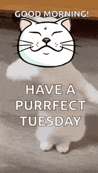 Goodmorning GIF by ShiroNeko