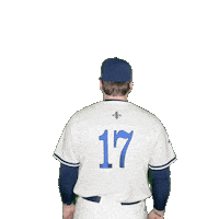 Clarke Baseball Sticker by Clarke University