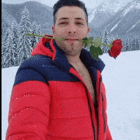 Red Rose GIF
