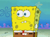 season 6 episode 13 GIF by SpongeBob SquarePants