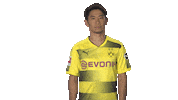 proud borussia dortmund Sticker by Bundesliga