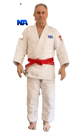 Grappling Martial Arts Sticker by NA Effective Fighting