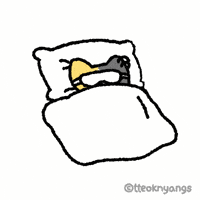 Cat Sleeping GIF