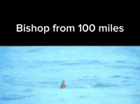 Bishop GIF