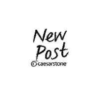 Post Nuevo Sticker by May Hill