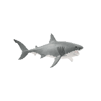 Fun Swimming Sticker by Schleich Inc.