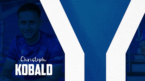 Soccer Bundesliga GIF by Karlsruher SC