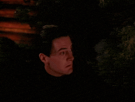 season 2 GIF by Twin Peaks on Showtime