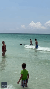 Black Bear Spotted Swimming at Crowded Florida Beach