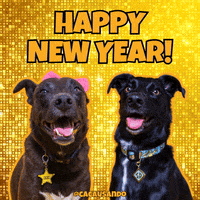 Dog Pet GIF